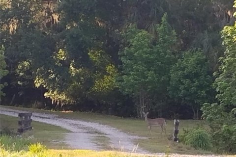 Land in Fish Hawk, Florida № 2100406 - photo 6