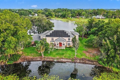 House in Tampa, Florida 5 bedrooms, 590.49 sq.m. № 2280722