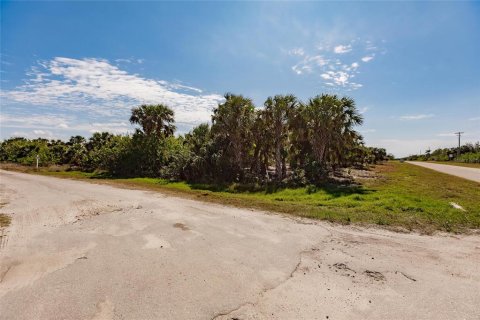 Land in Port Charlotte, Florida № 1562817 - photo 21