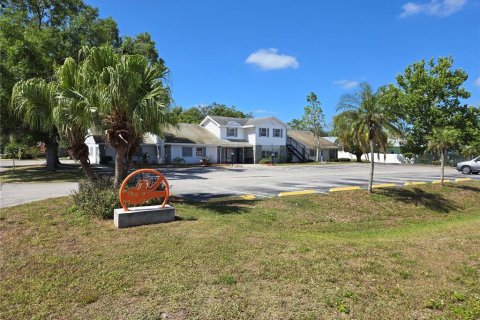Commercial property in New Port Richey, Florida 787.44 sq.m. № 1900657 - photo 3