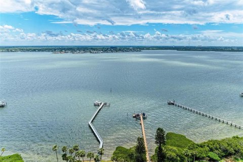 Land in Terra Ceia, Florida № 1900868 - photo 6