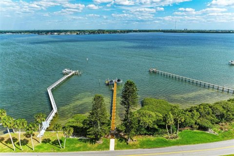 Land in Terra Ceia, Florida № 1900868 - photo 14