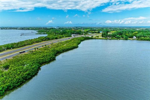 Land in Terra Ceia, Florida № 1900868 - photo 10