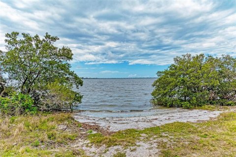Land in Terra Ceia, Florida № 1900868 - photo 8