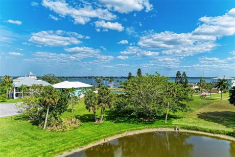 Land in Terra Ceia, Florida № 1900868 - photo 12