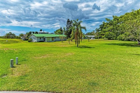 Land in Terra Ceia, Florida № 1900868 - photo 2