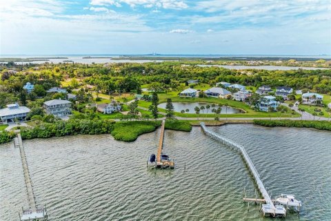 Land in Terra Ceia, Florida № 1900868 - photo 16