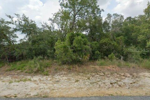Land in Spring Hill, Florida № 2112176 - photo 2