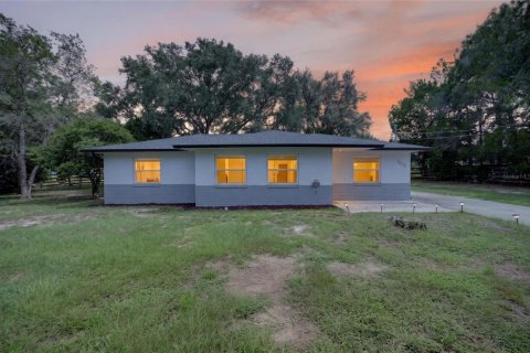 Casa en Fruitland Park, Florida 3 dormitorios, 111.76 m2 № 2273327