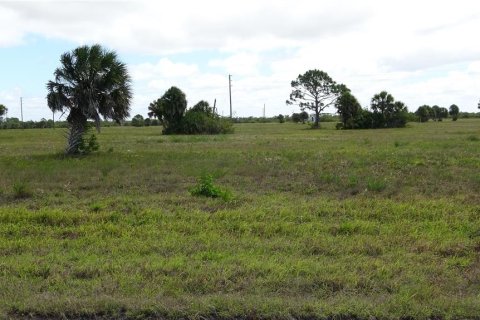 Land in Placida, Florida № 2229572