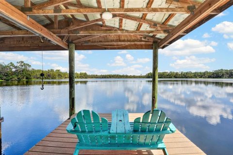 Villa ou maison à vendre à Interlachen, Floride: 6 chambres, 629.88 m2 № 2402938 - photo 3