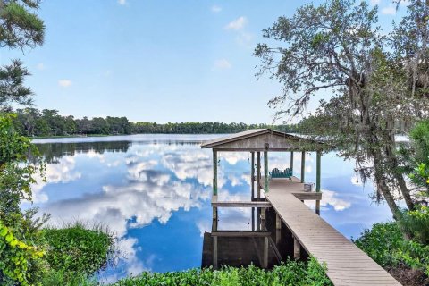 Villa ou maison à vendre à Interlachen, Floride: 6 chambres, 629.88 m2 № 2402938 - photo 4