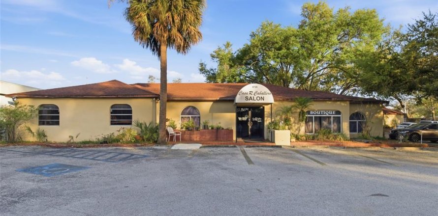 Commercial property in Tampa, Florida 235.23 sq.m. № 2101545