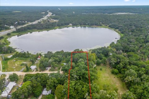 Land in Interlachen, Florida № 765987 - photo 1