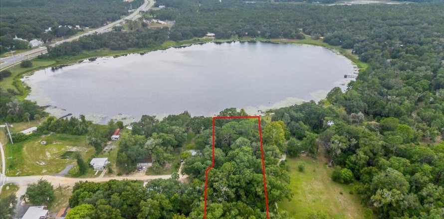 Land in Interlachen, Florida № 765987