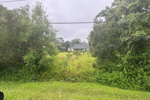 Terreno en venta en Orlando, Florida № 1831971 - foto 2