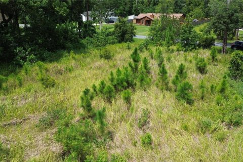 Terreno en venta en Orlando, Florida № 1831971 - foto 5