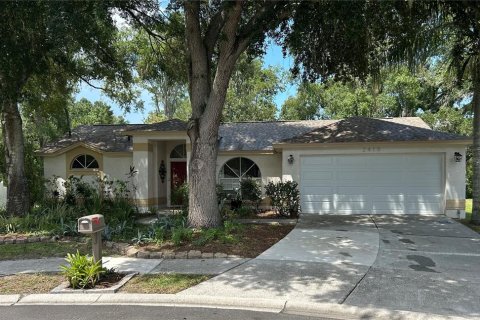 House in Land O' Lakes, Florida 3 bedrooms, 158.86 sq.m. № 2220330