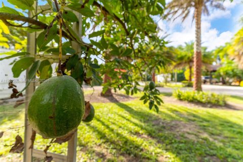 Commercial property in Miami, Florida № 2008481 - photo 27