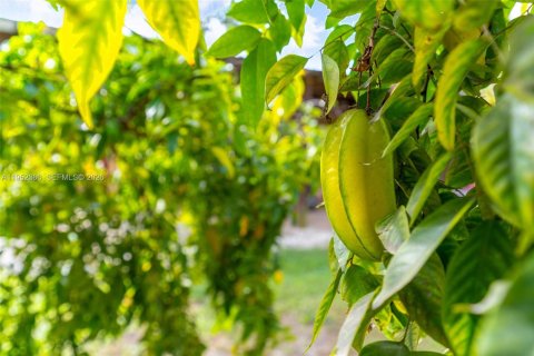 Commercial property in Miami, Florida № 2008481 - photo 28