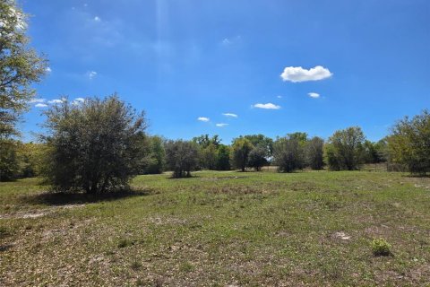 Terreno en venta en Arcadia, Florida № 2093636 - foto 9