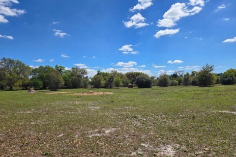 Terreno en venta en Arcadia, Florida № 2093636 - foto 8