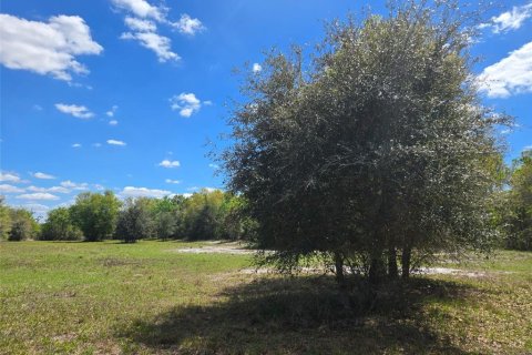 Terreno en venta en Arcadia, Florida № 2093636 - foto 6