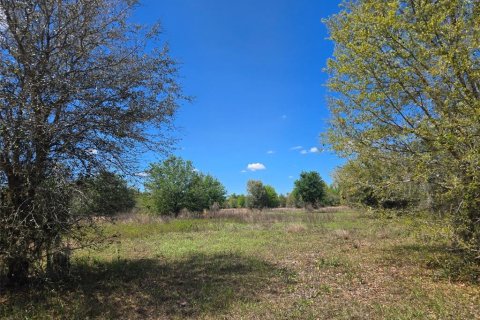Terreno en venta en Arcadia, Florida № 2093636 - foto 10