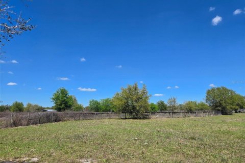 Terreno en venta en Arcadia, Florida № 2093636 - foto 11