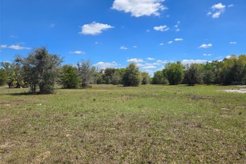 Terreno en venta en Arcadia, Florida № 2093636 - foto 7