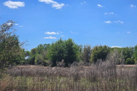 Купить земельный участок в Аркадия, Флорида № 2093636 - фото 14