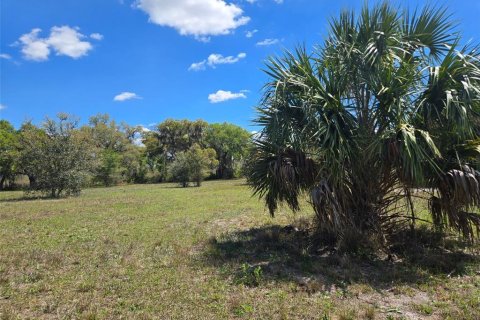 Terreno en venta en Arcadia, Florida № 2093636 - foto 12
