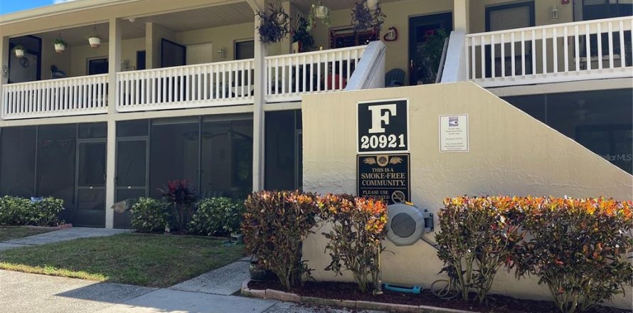 Condo à Lutz, Floride, 1 chambre  № 2151028