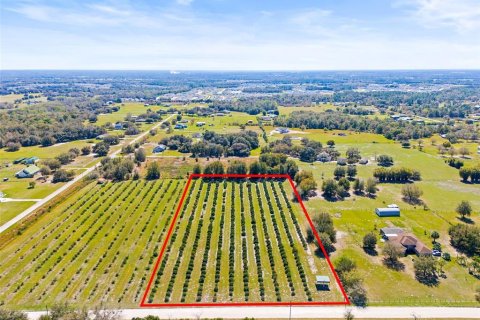Terreno en venta en Zephyrhills, Florida № 1014739 - foto 5