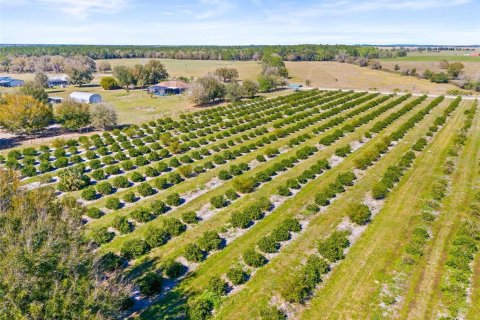 Terreno en venta en Zephyrhills, Florida № 1014739 - foto 17