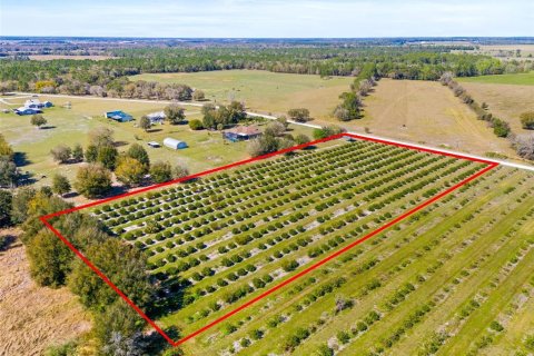 Terreno en venta en Zephyrhills, Florida № 1014739 - foto 14