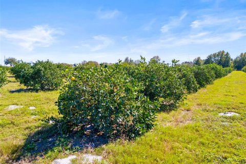 Terreno en venta en Zephyrhills, Florida № 1014739 - foto 19