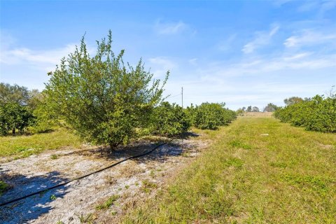 Terreno en venta en Zephyrhills, Florida № 1014739 - foto 24