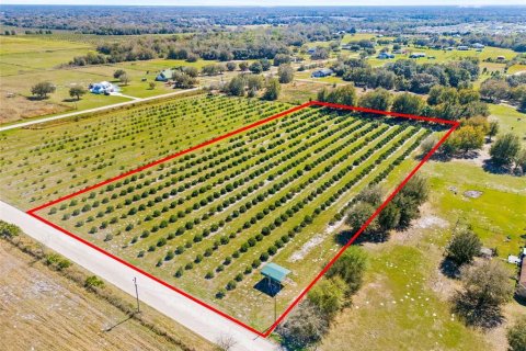 Terreno en venta en Zephyrhills, Florida № 1014739 - foto 3