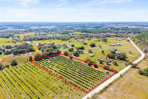 Terreno en venta en Zephyrhills, Florida № 1014739 - foto 6