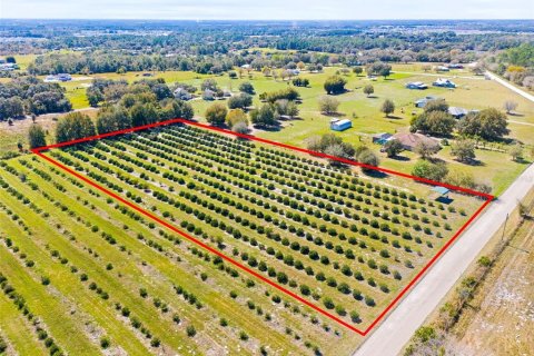 Terreno en venta en Zephyrhills, Florida № 1014739 - foto 13