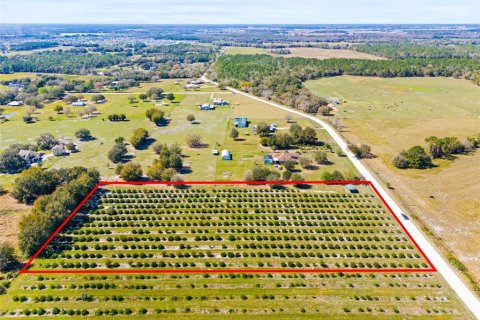 Terreno en venta en Zephyrhills, Florida № 1014739 - foto 7