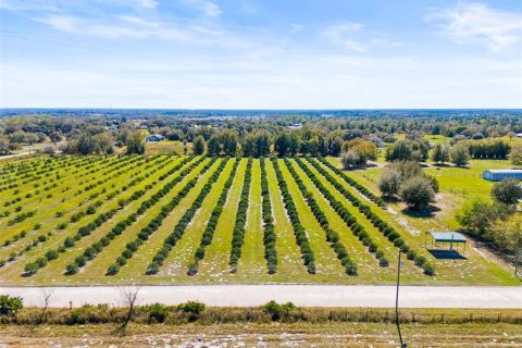 Terreno en venta en Zephyrhills, Florida № 1014739 - foto 4