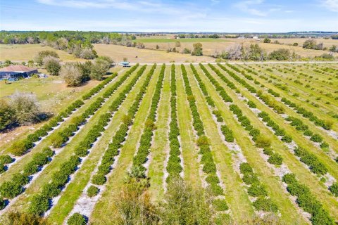 Terreno en venta en Zephyrhills, Florida № 1014739 - foto 16