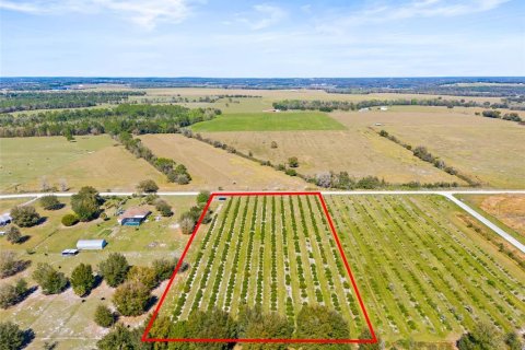 Terreno en venta en Zephyrhills, Florida № 1014739 - foto 9