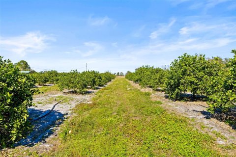 Terreno en venta en Zephyrhills, Florida № 1014739 - foto 26