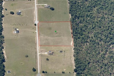 Land in Floral City, Florida № 1754744 - photo 7