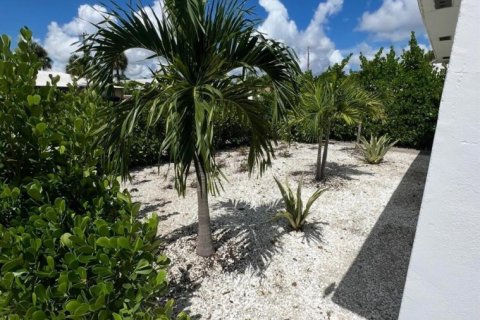 Appartement à louer à West Palm Beach, Floride: 2 chambres, 66.43 m2 № 2271425 - photo 9