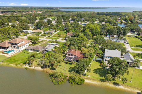 Villa ou maison à vendre à Oldsmar, Floride: 3 chambres, 227.98 m2 № 2415005 - photo 11