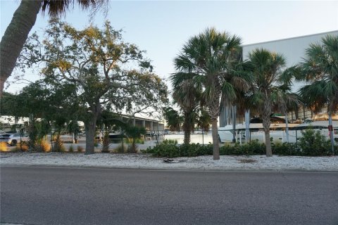 Copropriété à louer à Saint Petersburg, Floride: 2 chambres, 81.29 m2 № 2095313 - photo 27